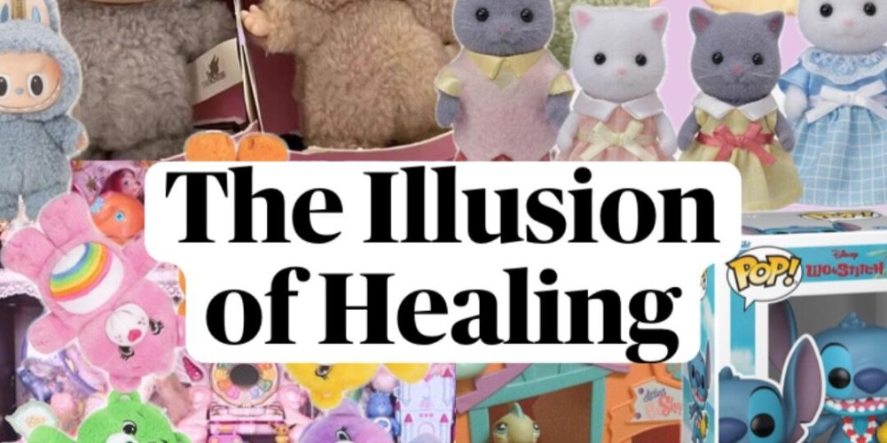 Illusion of overconsumption pin post blog