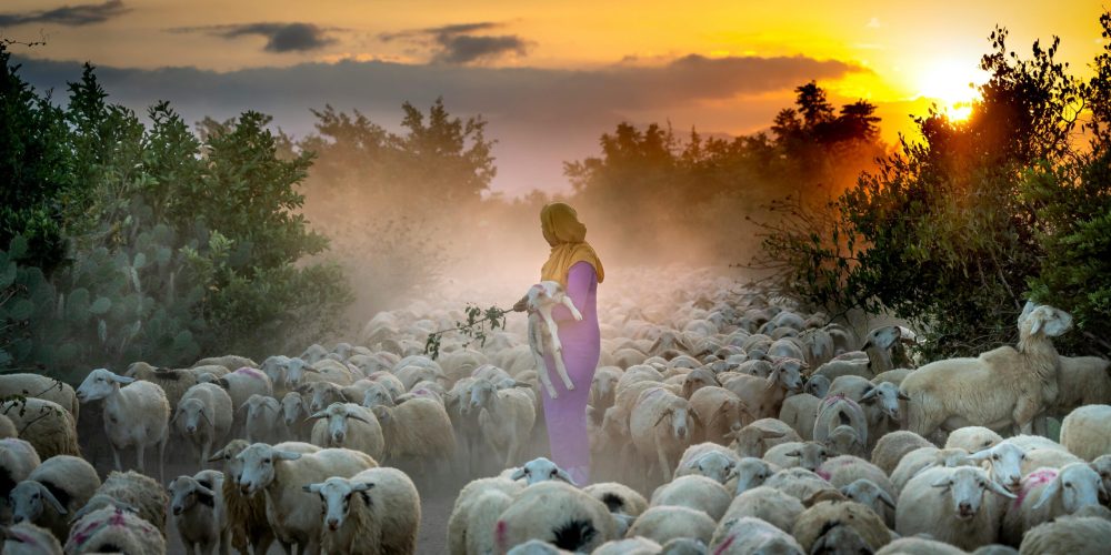 pexels-quang-nguyen-vinh-222549-3232010